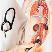 Uroloq androloq həkimi, Uroloq androloq kimdir, androloq həkimin qəbulu, andrologiya haqqında