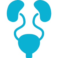 Urologiya və Andrologiya şöbəsi, Uroloq, Androloq, androloji və uroloji problemlər