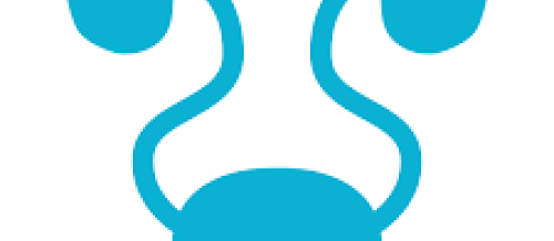 Urologiya və Andrologiya şöbəsi, Uroloq, Androloq, androloji və uroloji problemlər