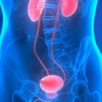 Andrologiya, Uroloq və Androloq, Androloji xəstəliklər, Kişi sonsuzluğu, Cinsi istəyin itirilməsi