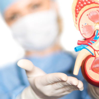 Andrologiya, Uroloq və Androloq, Androloji xəstəliklər, Kişi sonsuzluğu, Cinsi istəyin itirilməsi