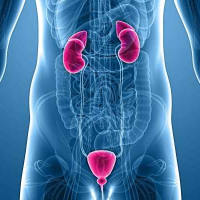 Andrologiya, Cinsi zəifliyin diaqnozu, Cavan kişilərdə cinsi zəifliyin müalicəsi, Andrologiya hansı xəstəlikləri müalicə edir