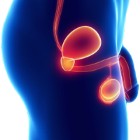 Uroloqa müraciət etmək, Androloq cərrahiyyə, kişi sonsuzluğu, cinsi azlıq