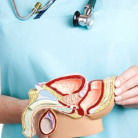 Erkən boşalmanın səbəbləri, Andrologiya, kişi sağlamlığı, kişi cinsi sağlamlığı