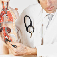 Erkən boşalmanın səbəbləri, Andrologiya, kişi sağlamlığı, kişi cinsi sağlamlığı