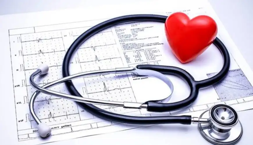 Check-Up nədir, Check Up-ın Faydaları, Check-up paketi, Check-up nəticələri