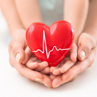 Check-Up, Check Up qəbuluna yazılmaq, Check up-ın faydaları, Check-up məzmunu, Check-up zamanı Check-Up, Check Up qəbuluna yazılmaq, Check up-ın faydaları, Check-up məzmunu, Check-up zamanı