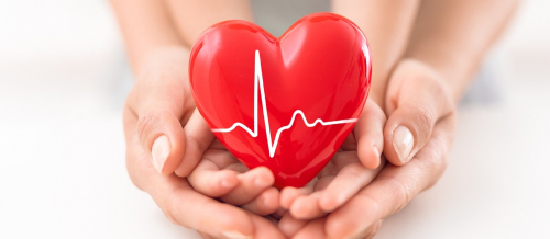 Check-Up, Check Up qəbuluna yazılmaq, Check up-ın faydaları, Check-up məzmunu, Check-up zamanı