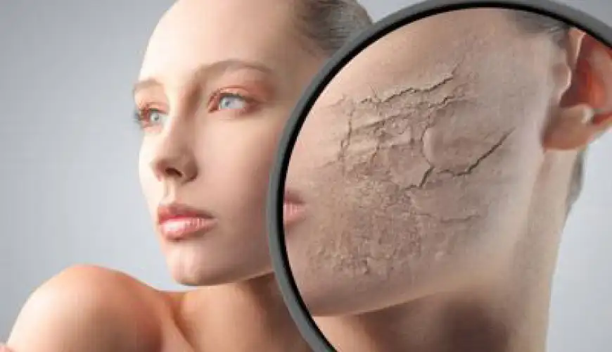 Dermatologiya nədir, Dermatoloji Mütəxəssislər və Həkimlər, Dermatoloji şərtlər, Dermatoloji Müalicə