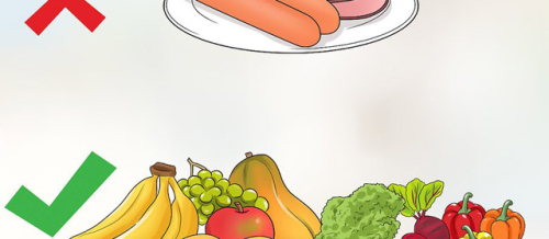 Diet proqramları, Qidalanma mütəxəssisi, Dietoloq, Dieta saxlamaq, Diyetisyen ilə dietoloq arasındakı fərq Diet proqramları, Qidalanma mütəxəssisi, Dietoloq, Dieta saxlamaq, Diyetisyen ilə dietoloq arasındakı fərq