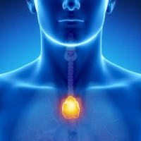 Endokrin xəstəliklər, Endokrin sistemi, Endokrinologiya, Endokrinologiya nədir, Endokrin vəzlər, endokrin xəstəliklər