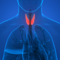 Qalxanabənzər vəz, Qalxanabənzər vəzinin düyünləri, Zob nədir, Qalxanabənzər vəzi harada olur