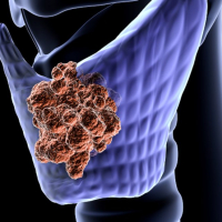 Endokrin xəstəliklər, Endokrin sistemi, Endokrinologiya, Endokrinologiya nədir, Endokrin vəzlər, endokrin xəstəliklər