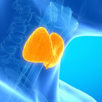 Endokrinologiya nədir, Endokrinologiya, Endokrin sistemi, Endokrin vəzlər