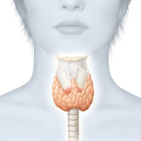 Endokrinologiya nədir, Endokrinologiya, Endokrin sistemi, Endokrin vəzlər
