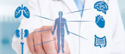 Endokrinologiya nədir, Endokrinoloq kimdir, Endokrinoloqların müalicə etdikləri xəstəliklər, endokrin sistemin xəstəlikləri