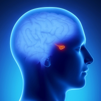 Endokrinologiya, həkim endokrinoloq, endokrin xəstəliklərin diaqnostikası, endokrinoloji