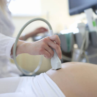 Ginekologiya və mamalıq, ginekoloogiyanın sahələri, ginekoloji müayinə Ginekologiya və mamalıq, ginekoloogiyanın sahələri, ginekoloji müayinə