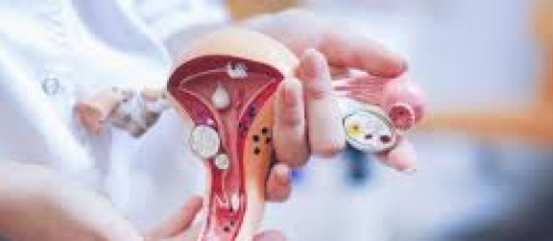 Ginekoloji müayinə, qadın xəstəlikləri, ginekoloq, ginekoloji müalicə