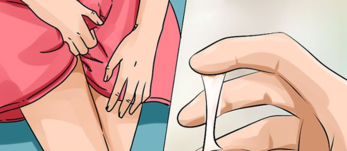 Yumurtalıqların polikistoz sindromu, Yumurtalıqların polikistozu, Yumurtalıqların müayinəsi