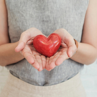 Kardiologiya, Kardioloji Prosedurlar, Kardioloq, Həkim Kardioloq, Kardioloji testlər Kardiologiya, Kardioloji Prosedurlar, Kardioloq, Həkim Kardioloq, Kardioloji testlər