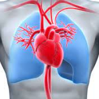 Kardiologiya, kardioloji müayinə üsulları, kardioloji check up, ürək xəstəlikləri Kardiologiya, kardioloji müayinə üsulları, kardioloji check up, ürək xəstəlikləri