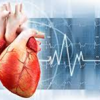 Kardiologiya, kardioloji müayinə üsulları, kardioloji check up, ürək xəstəlikləri Kardiologiya, kardioloji müayinə üsulları, kardioloji check up, ürək xəstəlikləri