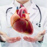 Kardiologiya, elektrokardioqrafiya, exokardioqrafiya, ürək-damar sistemi xəstəlikləri Kardiologiya, elektrokardioqrafiya, exokardioqrafiya, ürək-damar sistemi xəstəlikləri