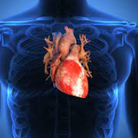 Kardiologiya, kardioloq müalicəsi, kardioloji check up, ürək xəstəlikləri, kardioloq müayinəsi Kardiologiya, kardioloq müalicəsi, kardioloji check up, ürək xəstəlikləri, kardioloq müayinəsi