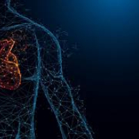 Kardiologiya, kardioloq, kardioloji check up, ürək xəstəlikləri, exokardioqrafiya Kardiologiya, kardioloq, kardioloji check up, ürək xəstəlikləri, exokardioqrafiya