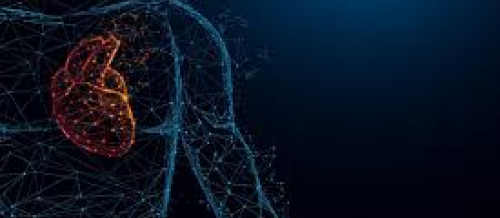 Kardiologiya, kardioloq, kardioloji check up, ürək xəstəlikləri, exokardioqrafiya