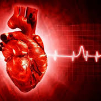 Kardioloq, kardiologiyanın əsas xəstəlikləri, kardioloji müayinə, ürək damar xəstəlikləri Kardioloq, kardiologiyanın əsas xəstəlikləri, kardioloji müayinə, ürək damar xəstəlikləri