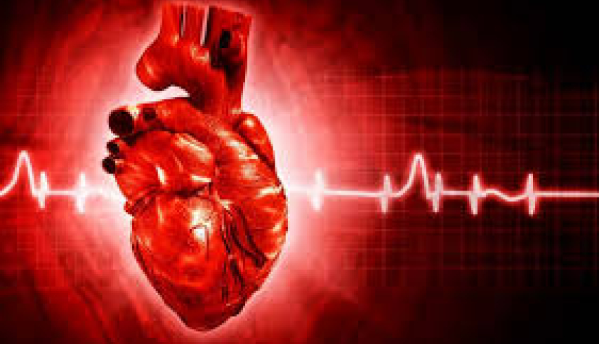 Kardioloq, kardiologiyanın əsas xəstəlikləri, kardioloji müayinə, ürək damar xəstəlikləri