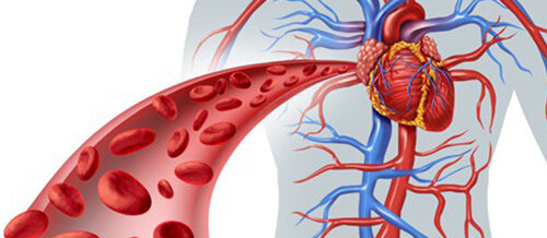 Kardiologiya və Ürək Prosedurları, Arteriya Xəstəliyi, Ürək infarkti, Ürək qapaqlarının xəstəlikləri, damar xəstəlikləri Kardiologiya və Ürək Prosedurları, Arteriya Xəstəliyi, Ürək infarkti, Ürək qapaqlarının xəstəlikləri, damar xəstəlikləri