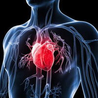 Ürək-damar həkimi, ürək-damar xəstəlikləri, Kardioloji check up paketi, Aritmiya Ürək-damar həkimi, ürək-damar xəstəlikləri, Kardioloji check up paketi, Aritmiya