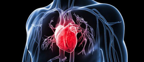 Ürək-damar həkimi, ürək-damar xəstəlikləri, Kardioloji check up paketi, Aritmiya Ürək-damar həkimi, ürək-damar xəstəlikləri, Kardioloji check up paketi, Aritmiya