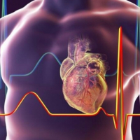 Ürək-damar həkimi, ürək-damar xəstəlikləri, Kardioloji check up paketi, Aritmiya Ürək-damar həkimi, ürək-damar xəstəlikləri, Kardioloji check up paketi, Aritmiya