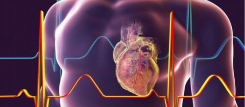 Ürək-damar həkimi, ürək-damar xəstəlikləri, Kardioloji check up paketi, Aritmiya Ürək-damar həkimi, ürək-damar xəstəlikləri, Kardioloji check up paketi, Aritmiya