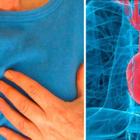 Ürək-damar həkimi, ürək-damar xəstəlikləri, Kardioloji check up paketi, Aritmiya Ürək-damar həkimi, ürək-damar xəstəlikləri, Kardioloji check up paketi, Aritmiya