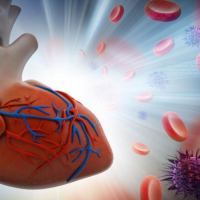 Aritmiyalar və ya ürəyin ritm pozuntusu, artan ürək döyüntüsü, Aritmiyaların tipləri, kadioloq Aritmiyalar və ya ürəyin ritm pozuntusu, artan ürək döyüntüsü, Aritmiyaların tipləri, kadioloq