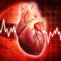 Ürək xəstəlikləri, damar xəstəlikləri, Əzələ sistemi xəstəlikləri, Qapaq xəstəlikləri, kardiologiya Ürək xəstəlikləri, damar xəstəlikləri, Əzələ sistemi xəstəlikləri, Qapaq xəstəlikləri, kardiologiya