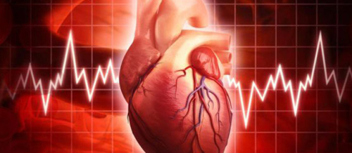 Ürək xəstəlikləri, damar xəstəlikləri, Əzələ sistemi xəstəlikləri, Qapaq xəstəlikləri, kardiologiya Ürək xəstəlikləri, damar xəstəlikləri, Əzələ sistemi xəstəlikləri, Qapaq xəstəlikləri, kardiologiya