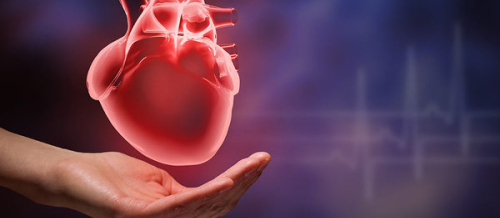 Ürək Xəstəlikləri Hansılardır, Ürək Xəstəlikləri Əlamətləri, Ürək Xəstəliklərinin Yaranma Səbəbləri, Ürək Xəstəliklərinin Müalicəsi Ürək Xəstəlikləri Hansılardır, Ürək Xəstəlikləri Əlamətləri, Ürək Xəstəliklərinin Yaranma Səbəbləri, Ürək Xəstəliklərinin Müalicəsi