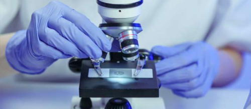 Analizlərin verilmə qaydası, Spermoqramma analizi, PZR, Qan analizi, Laborator müayinələr, Aşkarlayıcı müayinə