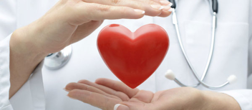 Check-up, Check Up-dan əvvəl, Check Up Nəticələri, Check Up zamanı, Check Up Qiymətləri