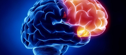 Nevroloji, Epilepsiya, Nevrologiya şöbəsi, Nevrologiya, Nevroloji Xidmətlər Nevroloji, Epilepsiya, Nevrologiya şöbəsi, Nevrologiya, Nevroloji Xidmətlər