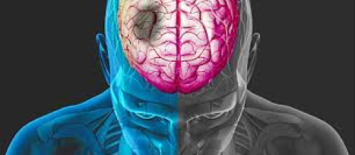 Sinir sistemi, nevroloji simptomlar, nevroloji müalicə, nevroloji müayinə üsulları, nevroloji xəstəliklər