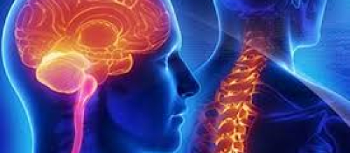 Sinir sistemi, nevroloji simptomlar, nevroloji müalicə, nevroloji müayinə üsulları, nevroloji xəstəliklər