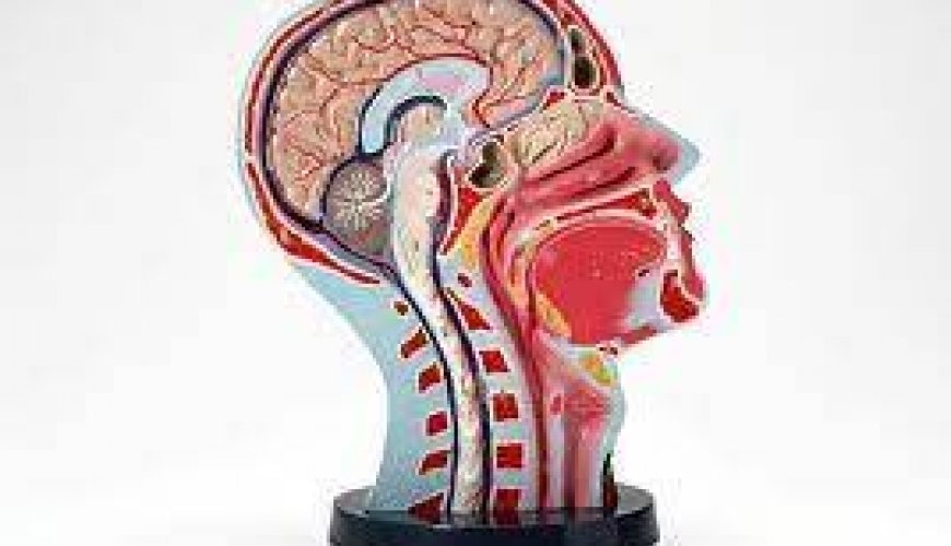 Nevrologiya, mərkəzi sinir sisteminin iltihabi xəstəlikləri, nevroloji xəstəliklər, nevroloji müayinə