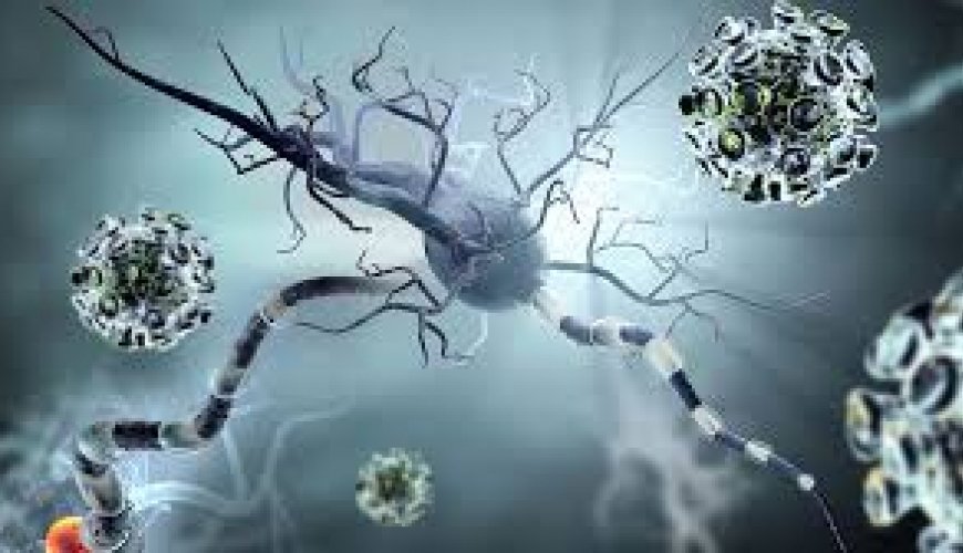 Nevrologiya şöbəsi, nevroloji xəstəliklər, nevroloji müayinə, nevroloji müalicə, neyrocərrahiyyə